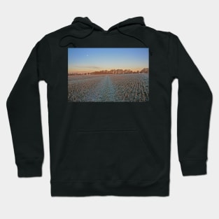 Winter Moon, Meon Valley, December 2022 Hoodie